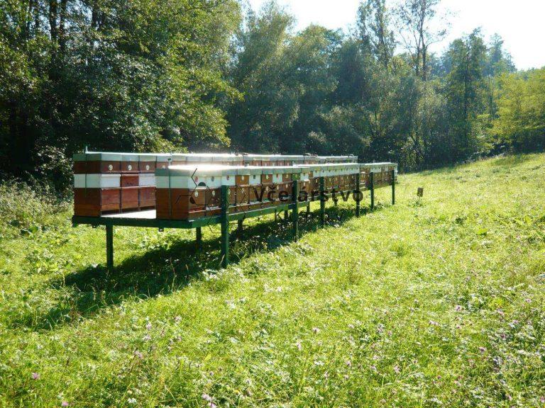 kočovanie a prevoz včelstiev