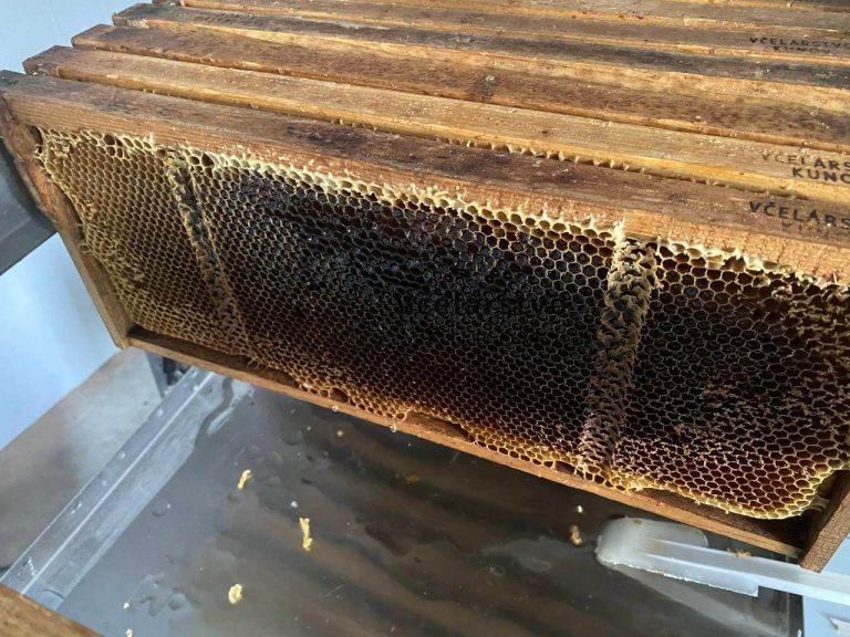 vytáčanie medu na automatickej linke
